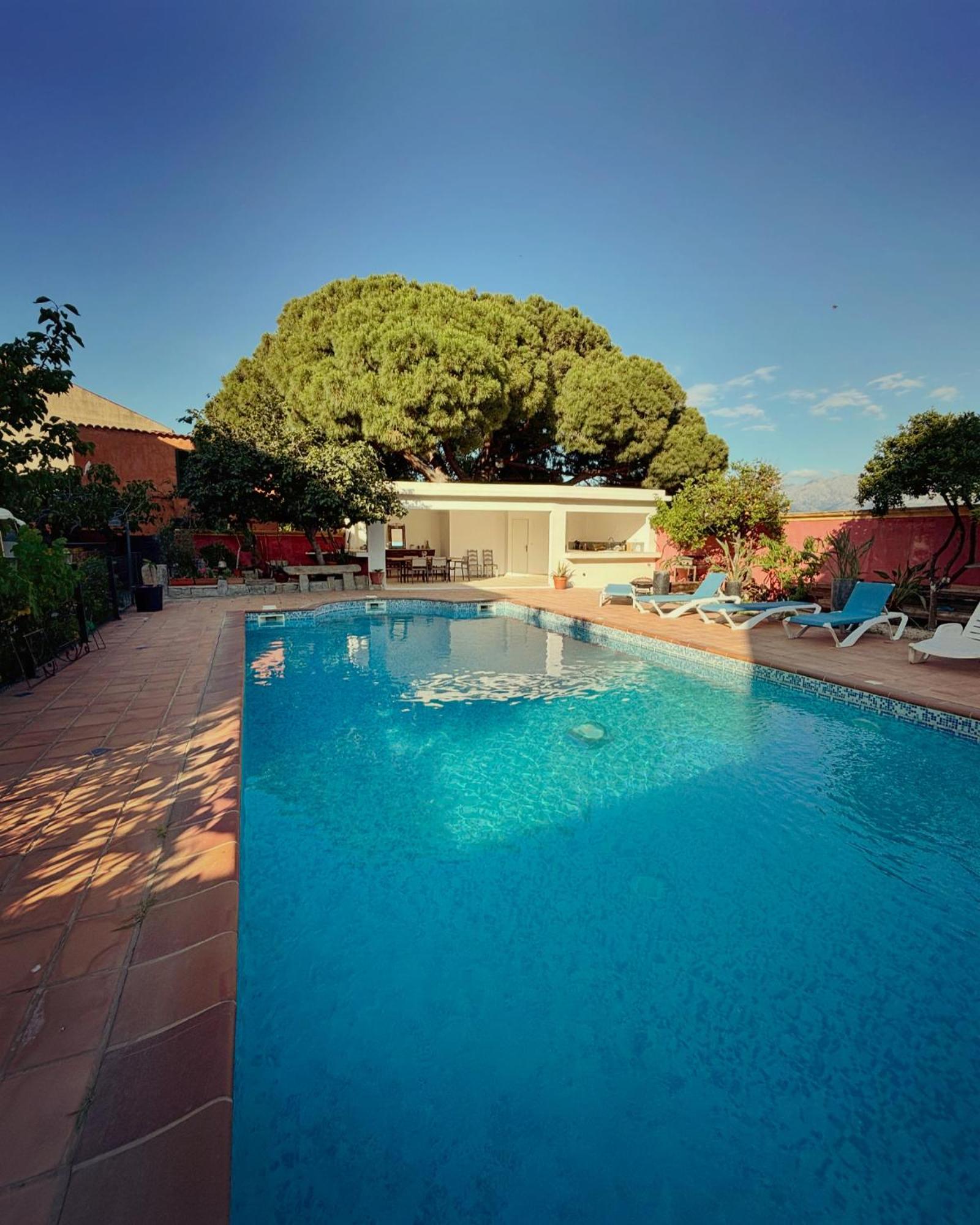 Residence Antonia Appartements Avec Piscine Commune - Centre Ville Calvi Calvi  Exterior photo